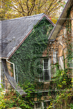 Fall - Waynesville, MO 2020 © Pics by Jax-3607.jpg