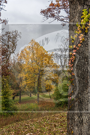 Fall - Waynesville, MO 2020 © Pics by Jax-3627.jpg