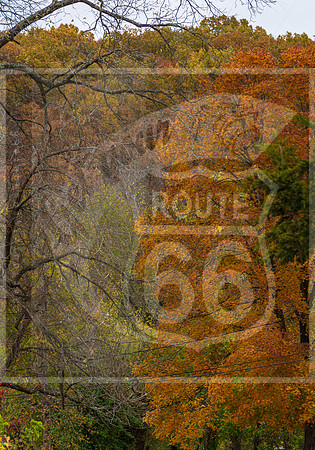 Fall - Waynesville, MO 2020 © Pics by Jax-3630.jpg