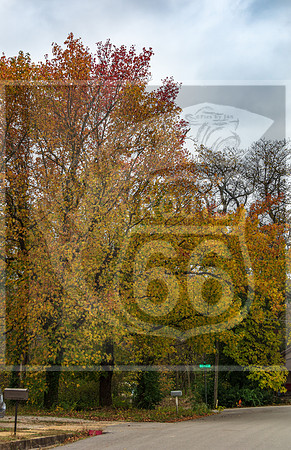 Fall - Waynesville, MO 2020 © Pics by Jax-3631.jpg