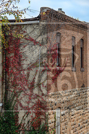Fall - Waynesville, MO 2020 © Pics by Jax-3640.jpg