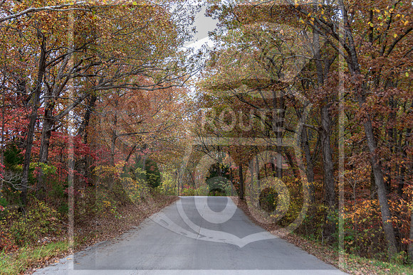 Fall - Waynesville, MO 2020 © Pics by Jax-3646.jpg