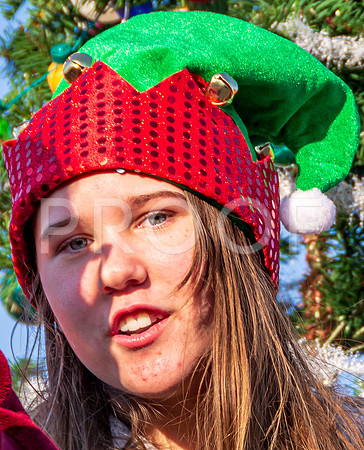 Waynesville Christmas Parade 2020 © PicsbyJax-4911.jpg