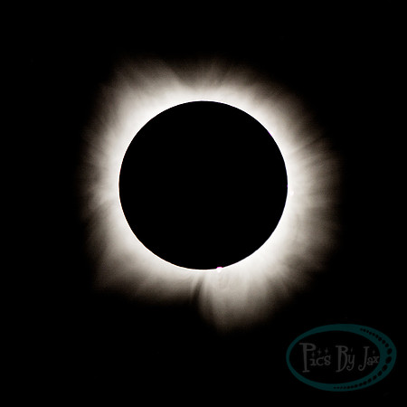 Total Solar Eclipse 2024 © Pics by Jax-2877.jpg