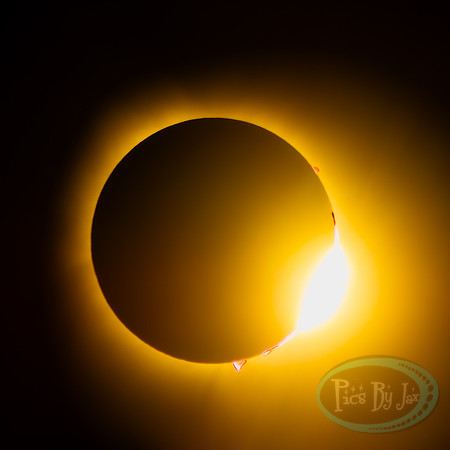 Total Solar Eclipse 2024 © Pics by Jax-2880.jpg