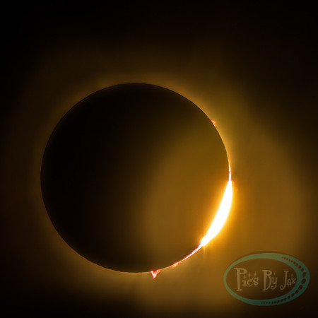 Total Solar Eclipse 2024 © Pics by Jax-2881.jpg