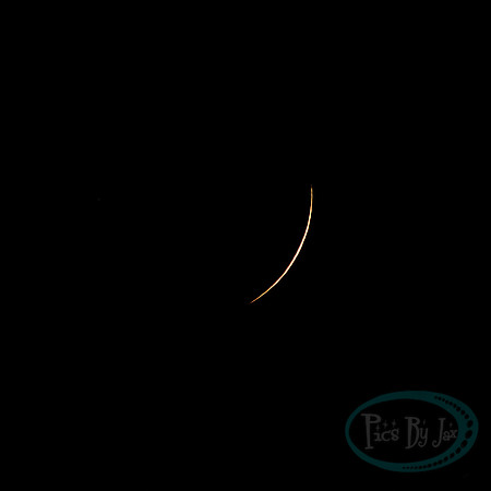 Total Solar Eclipse 2024 © Pics by Jax-2882.jpg
