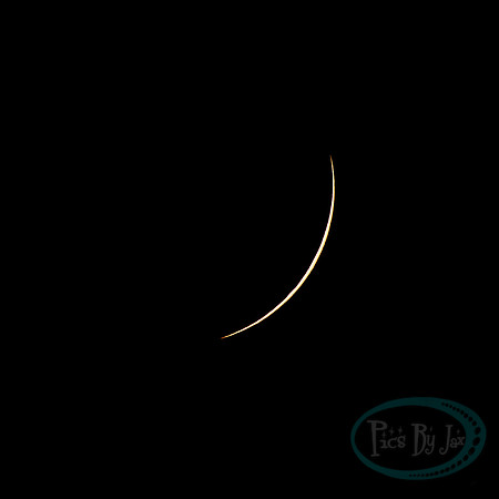 Total Solar Eclipse 2024 © Pics by Jax-2885.jpg