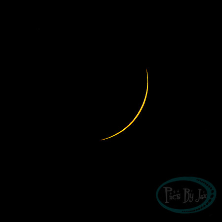 Total Solar Eclipse 2024 © Pics by Jax-2891.jpg