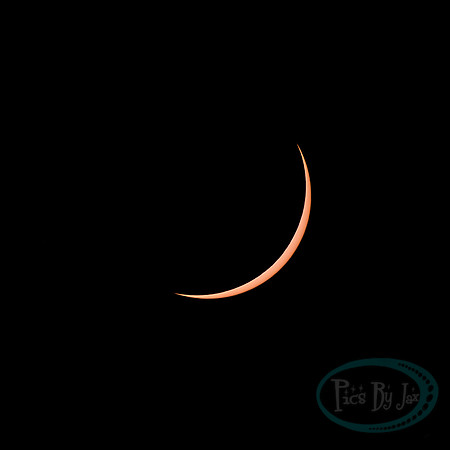 Total Solar Eclipse 2024 © Pics by Jax-2894.jpg