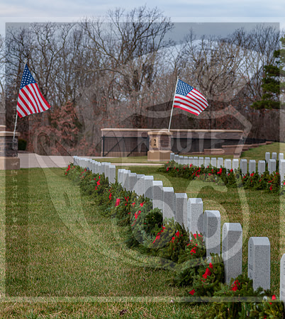 WAA2020 ©PicsbyJax-0152.jpg