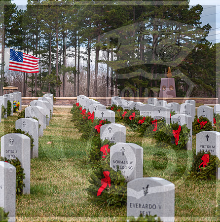 WAA2020 ©PicsbyJax-0153.jpg