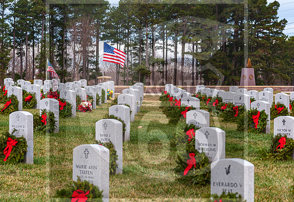WAA2020 ©PicsbyJax-0154.jpg
