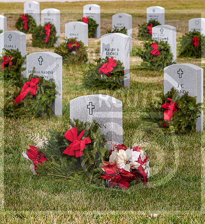 WAA2020 ©PicsbyJax-0160.jpg