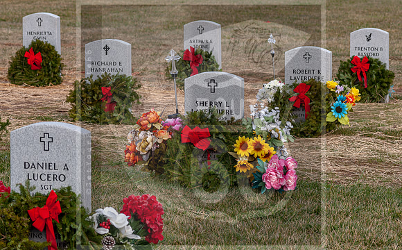 WAA2020 ©PicsbyJax-0165.jpg
