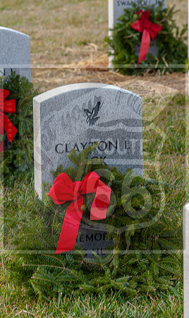 WAA2020 ©PicsbyJax-0180.jpg
