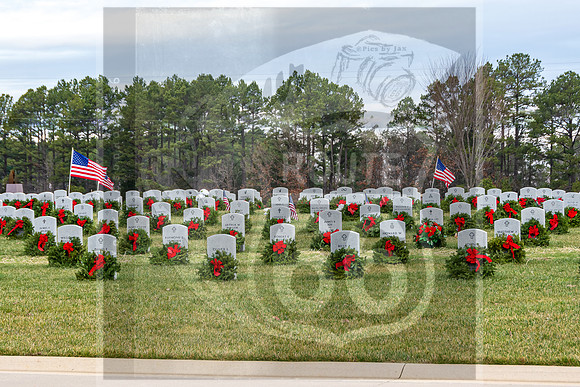 WAA2020 ©PicsbyJax-5713.jpg