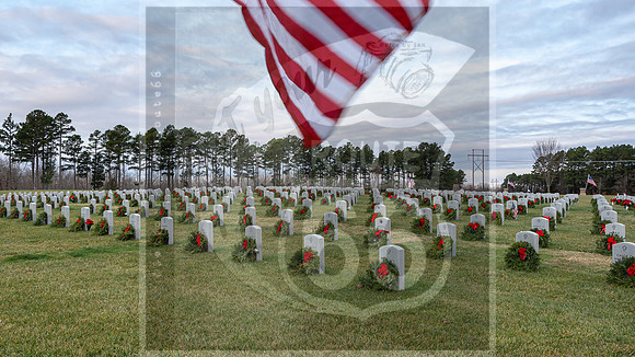 WAA2020 ©PicsbyJax-5719.jpg