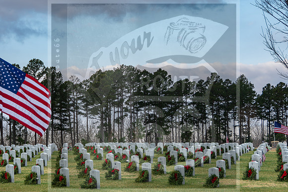 WAA2020 ©PicsbyJax-5764.jpg