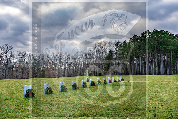WAA2020 ©PicsbyJax-5772.jpg