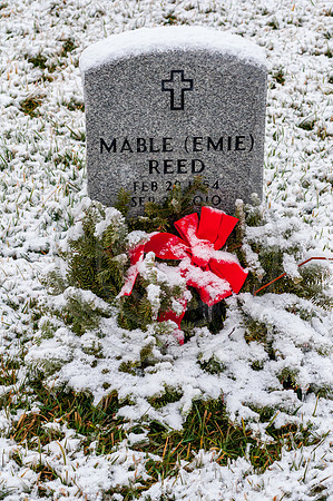 DSC_0019.jpg