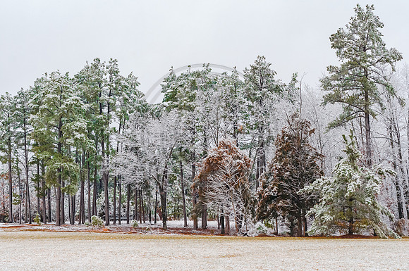 DSC_0041.jpg