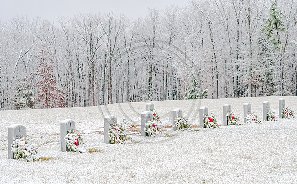 DSC_0060.jpg