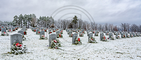 JAX_6320.jpg