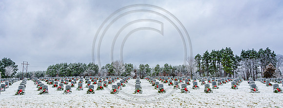 JAX_6324.jpg