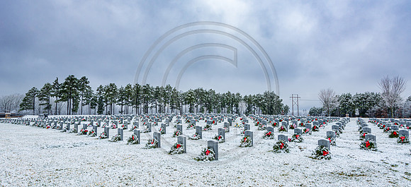 JAX_6335.jpg