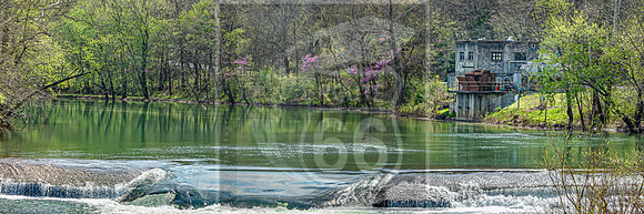 Spring 2020 PicsbyJax-4384.jpg