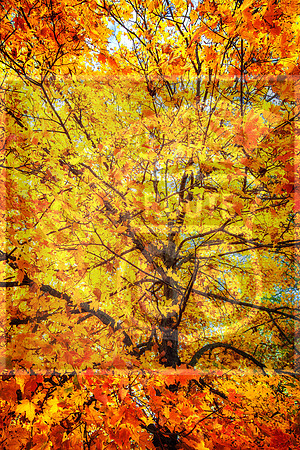 JAX_4208-Edit.jpg