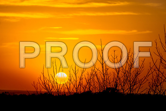 untitled-3019.jpg