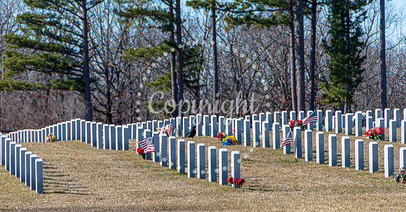 DSC_0006.jpg
