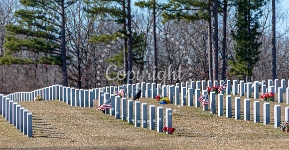 DSC_0008.jpg