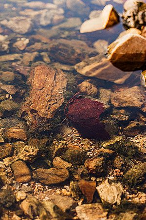 untitled-8097.jpg
