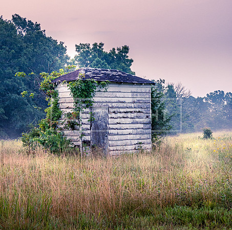 JAX_2909.jpg