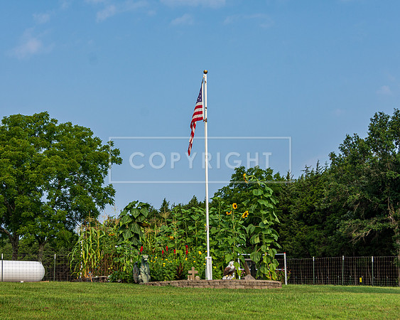JAX_3840.jpg