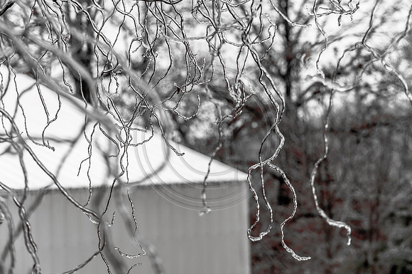 Jupiter Ice Storm- Friday 13, 2017 (c)PicsbyJax whatisee shootandediteveryday picsbyjax-0172.jpg
