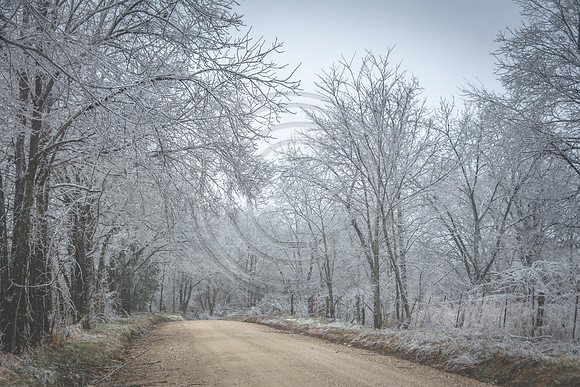 Jupiter Ice Storm- Saturday 14, 2017 (c)PicsbyJax whatisee shootandediteveryday picsbyjax-4859.jpg