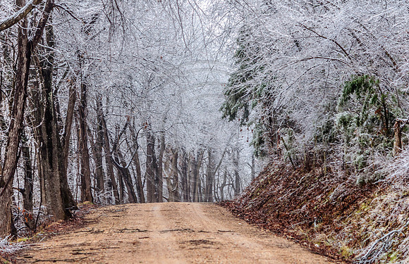 Jupiter Ice Storm- Saturday 14, 2017 (c)PicsbyJax whatisee shootandediteveryday picsbyjax-0079.jpg