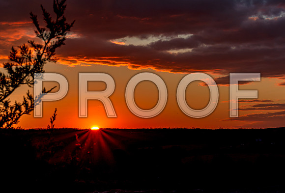 untitled-8325.jpg