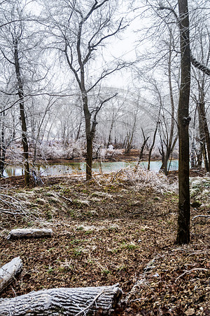 Jupiter Ice Storm- Saturday 14, 2017 (c)PicsbyJax whatisee shootandediteveryday picsbyjax-5208.jpg