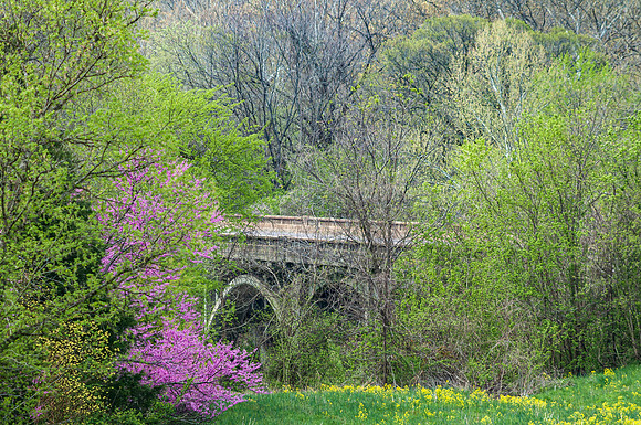 Devils Elbow Route 66  Bridge_Spring 2020 © PicsbyJax-0323.jpg