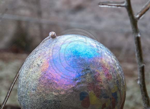 Jupiter Ice Storm- Saturday 14, 2017 (c)PicsbyJax whatisee shootandediteveryday picsbyjax-0003.jpg
