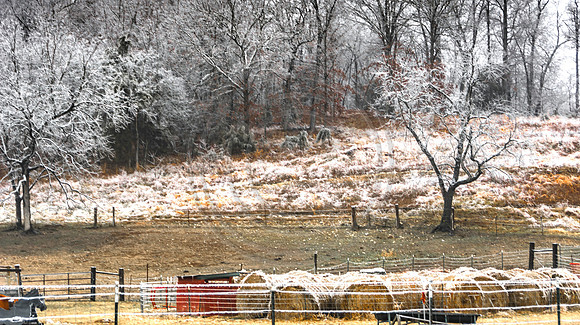 Jupiter Ice Storm- Saturday 14, 2017 (c)PicsbyJax whatisee shootandediteveryday picsbyjax-4874.jpg