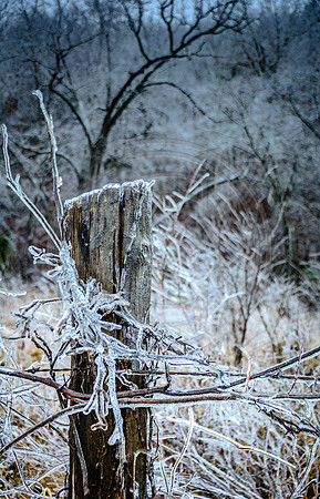 Jupiter Ice Storm- Saturday 14, 2017 (c)PicsbyJax whatisee shootandediteveryday picsbyjax-4813.jpg