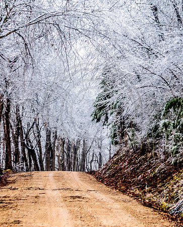 Jupiter Ice Storm- Saturday 14, 2017 (c)PicsbyJax whatisee shootandediteveryday picsbyjax-0080.jpg