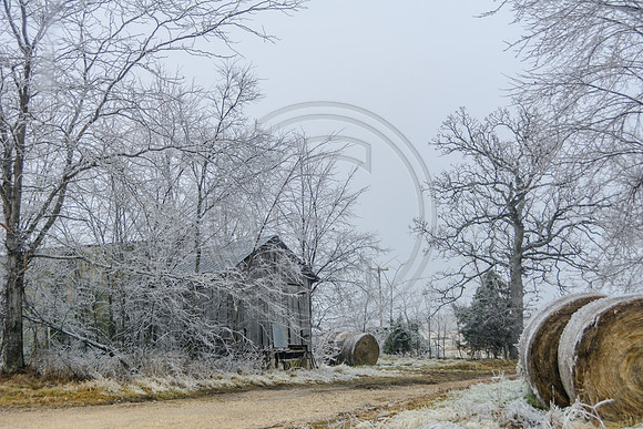 Jupiter Ice Storm- Saturday 14, 2017 (c)PicsbyJax whatisee shootandediteveryday picsbyjax-5041.jpg