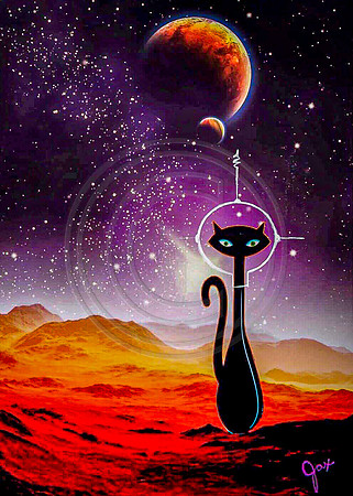 Space Cat I